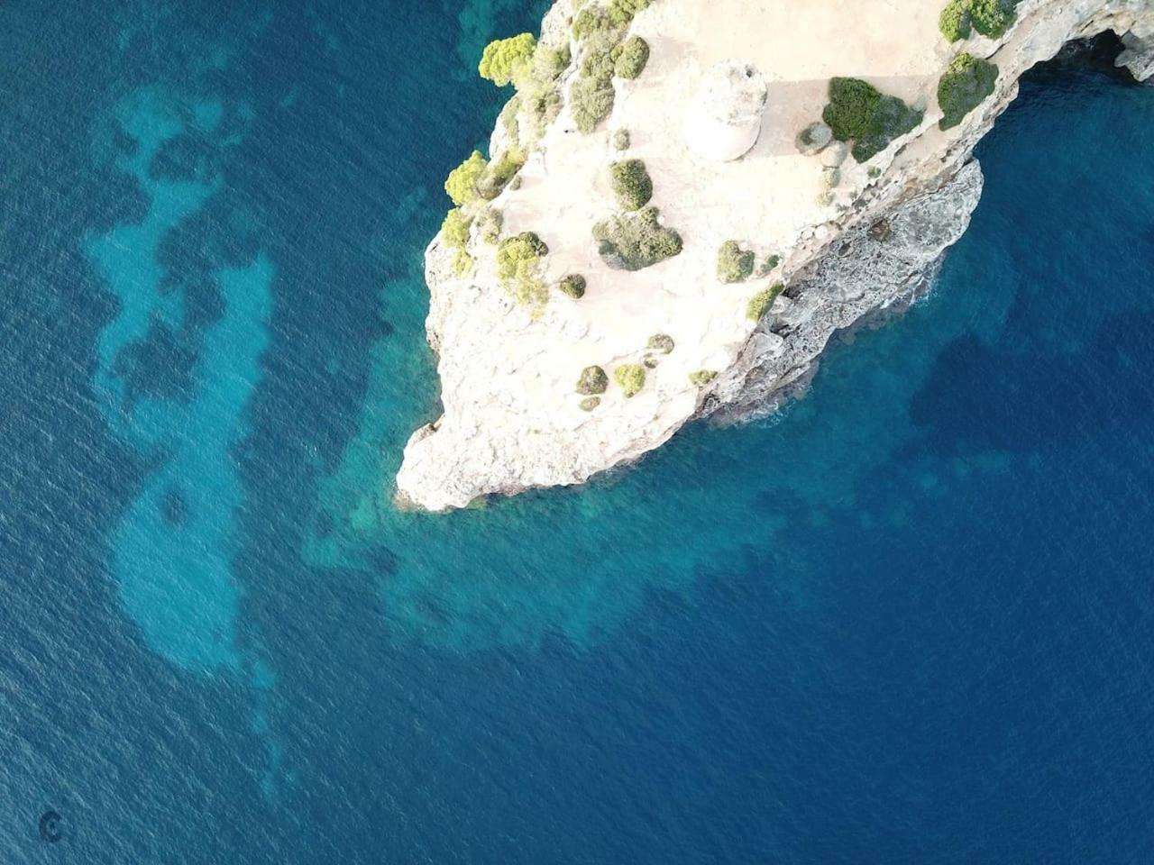 Дом отдыха Carpe Diem - Puig De Ros- Mallorca Льюкмайор